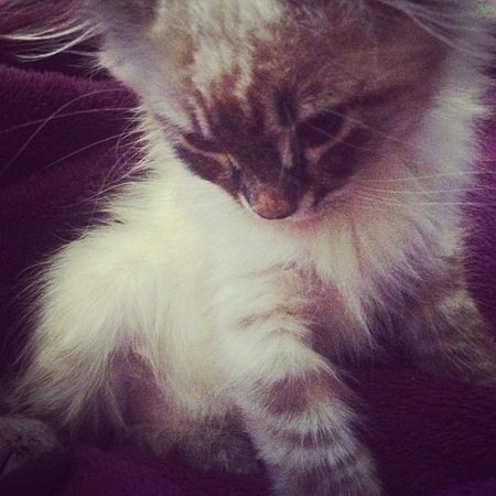 Entry image for Marilyn. Clicking this image will show a larger photo