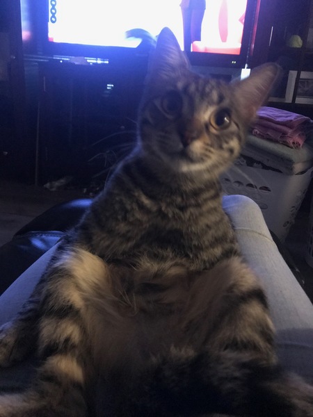 Entry image for Oxxo. Clicking this image will show a larger photo