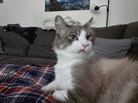 Entry image for Walker. Clicking this image will show a larger photo