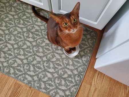 Entry image for Seth. Clicking this image will show a larger photo