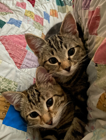 Entry image for Nebula & Gamora. Clicking this image will show a larger photo