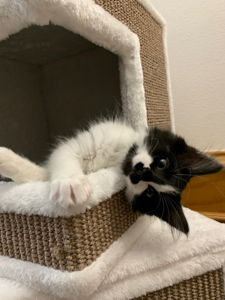 Entry image for Paris. Clicking this image will show a larger photo