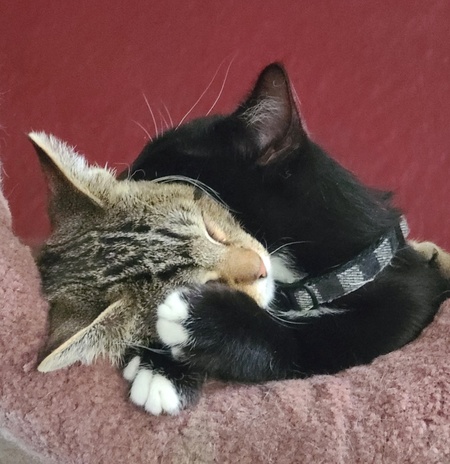 Entry image for Everest & Baker. Clicking this image will show a larger photo