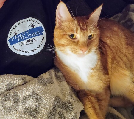 Entry image for Hobbes . Clicking this image will show a larger photo