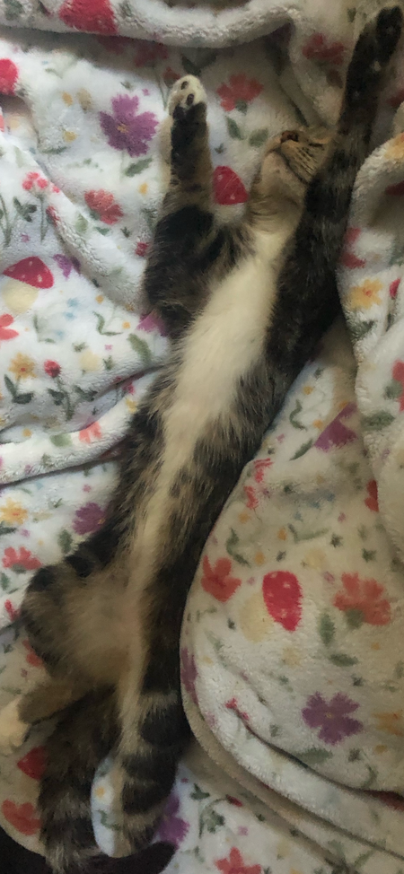 Entry image for Helen. Clicking this image will show a larger photo