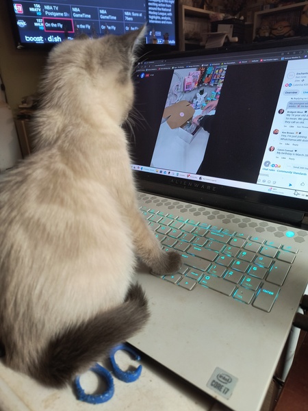 Entry image for Galinda. Clicking this image will show a larger photo