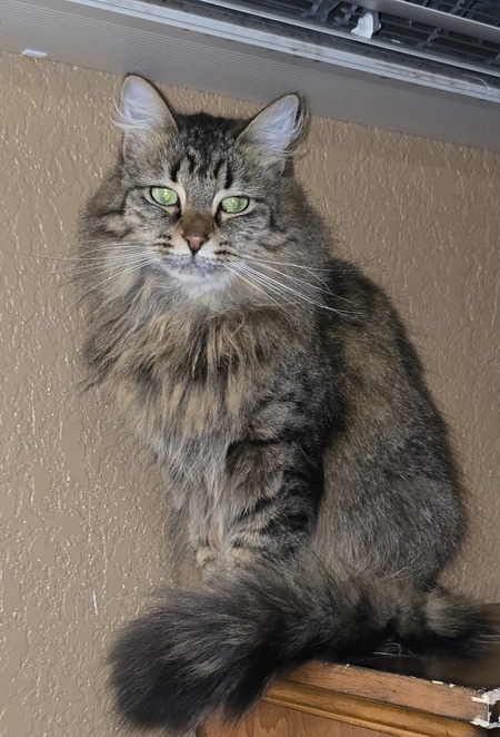 Entry image for Gwendolyn. Clicking this image will show a larger photo