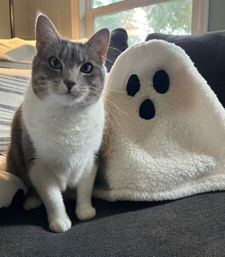 Entry image for Murry. Clicking this image will show a larger photo