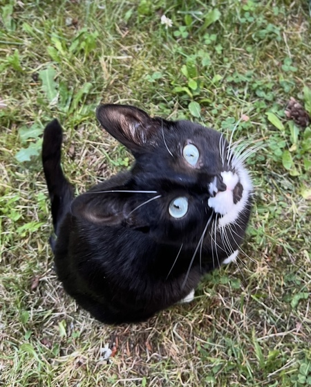 Entry image for River. Clicking this image will show a larger photo