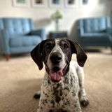 Entry image for Maggie