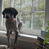 Entry image for Buck Wilde