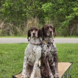 Entry image for Bella Rose & Dixie Lou