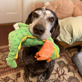 Entry image for Momo