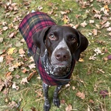 Entry image for Sonny 