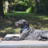 Entry image for Geronimo 