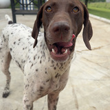 Entry image for Molly