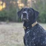 Entry image for Benny