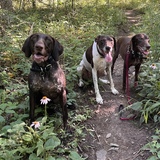 Entry image for Plata, Foster, and Ozzie