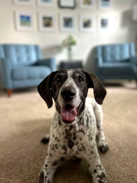 Entry image for Maggie. Clicking this image will show a larger photo