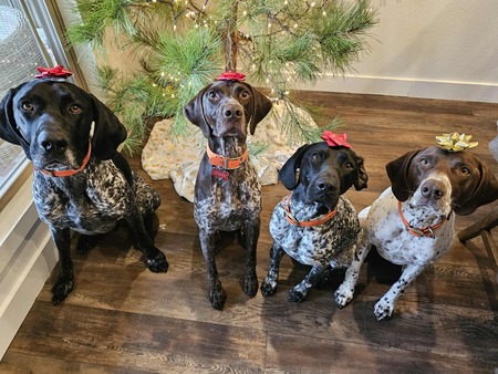 Entry image for Jake. Clicking this image will show a larger photo