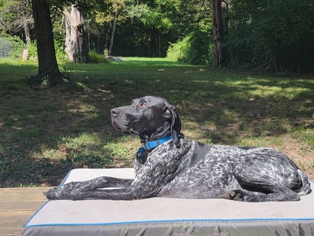 Entry image for Geronimo . Clicking this image will show a larger photo