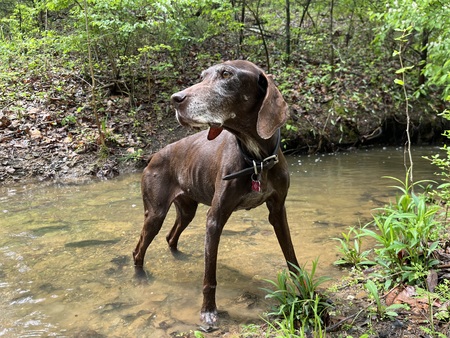 Entry image for Plata. Clicking this image will show a larger photo