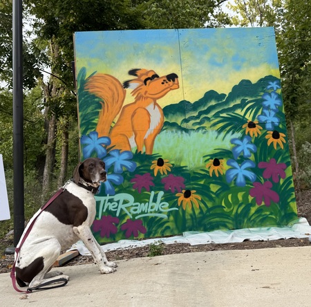 Entry image for Foster. Clicking this image will show a larger photo