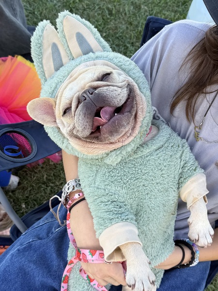 Entry image for Little Tyke . Clicking this image will show a larger photo