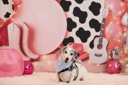 Entry image for Fiammetta Fontaine . Clicking this image will show a larger photo