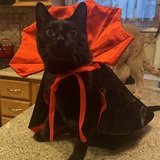 Entry image for Randall Pearson