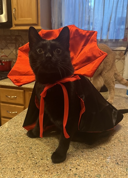 Entry image for Randall Pearson. Clicking this image will show a larger photo