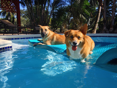 Leo and Kami