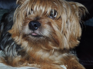 Max 