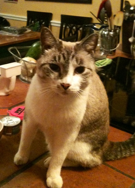 Norman