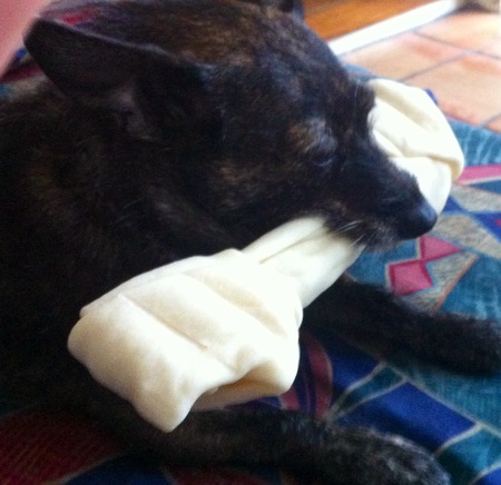 Lola