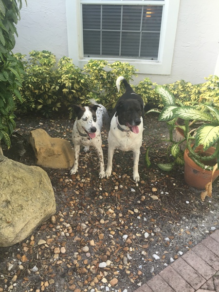 Amber & Kendra