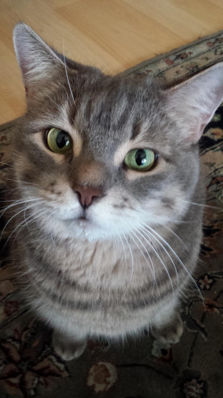 Mitzie