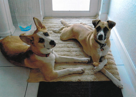 Mya and Buddy