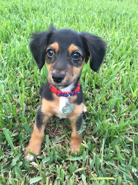 Parker