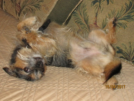 Barnaby