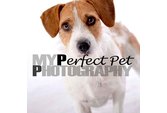 My Perfect Pet Photography