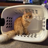 Entry image for Bill