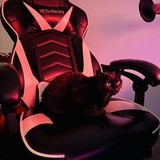 Entry image for Pepper