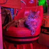 Entry image for Niska