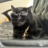 Entry image for Challa