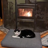 Entry image for Oreo