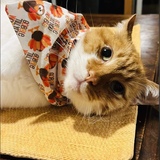 Entry image for Machine