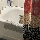 Entry image for Binx