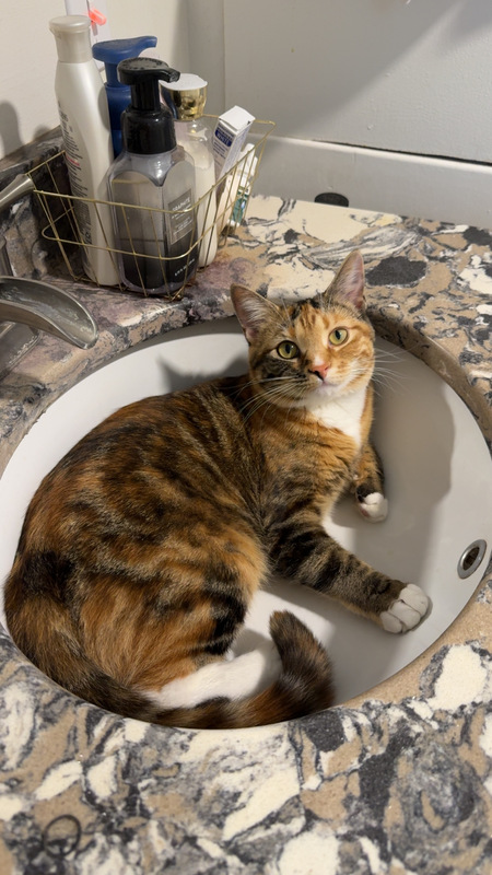 Entry image for Kai. Clicking this image will show a larger photo