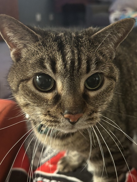 Entry image for Dee. Clicking this image will show a larger photo